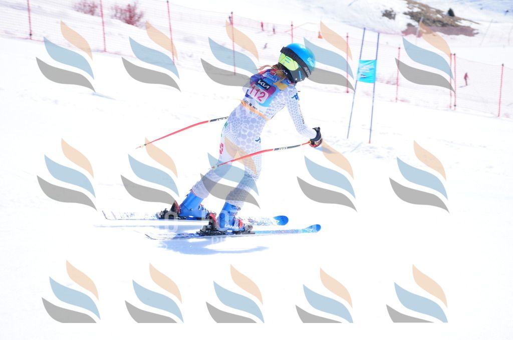 DSC_4878 | holidayphoto