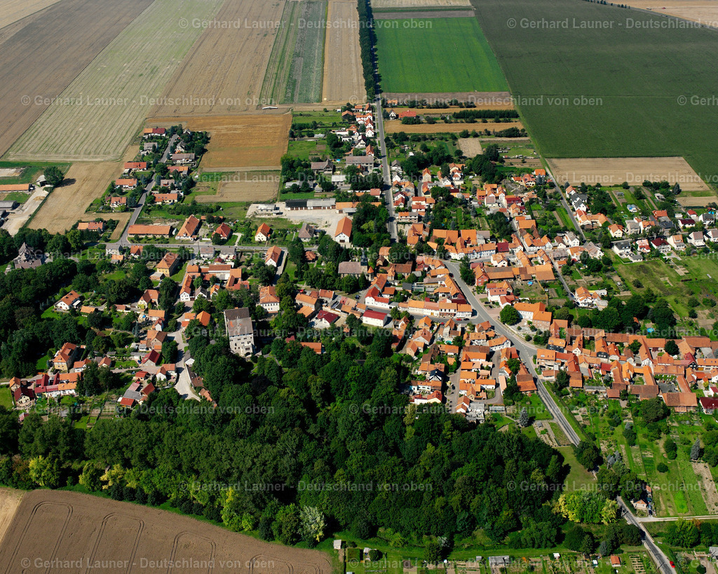 2589481 | Seebach, Weinbergen