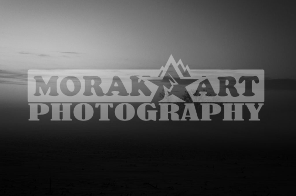 1-06-1025-679 | morakartphoto