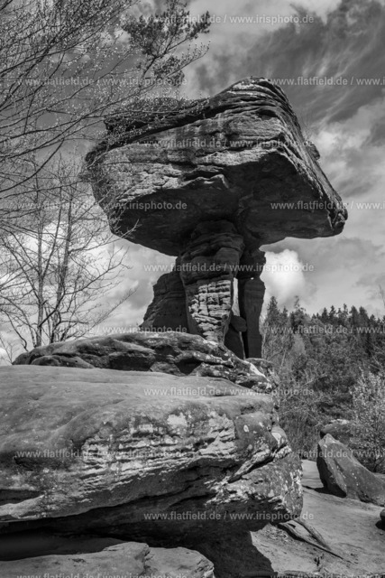 Der Teufelstisch | Landschaftsfoto schwarz-weiß | Teufelstisch in der Südpfalz