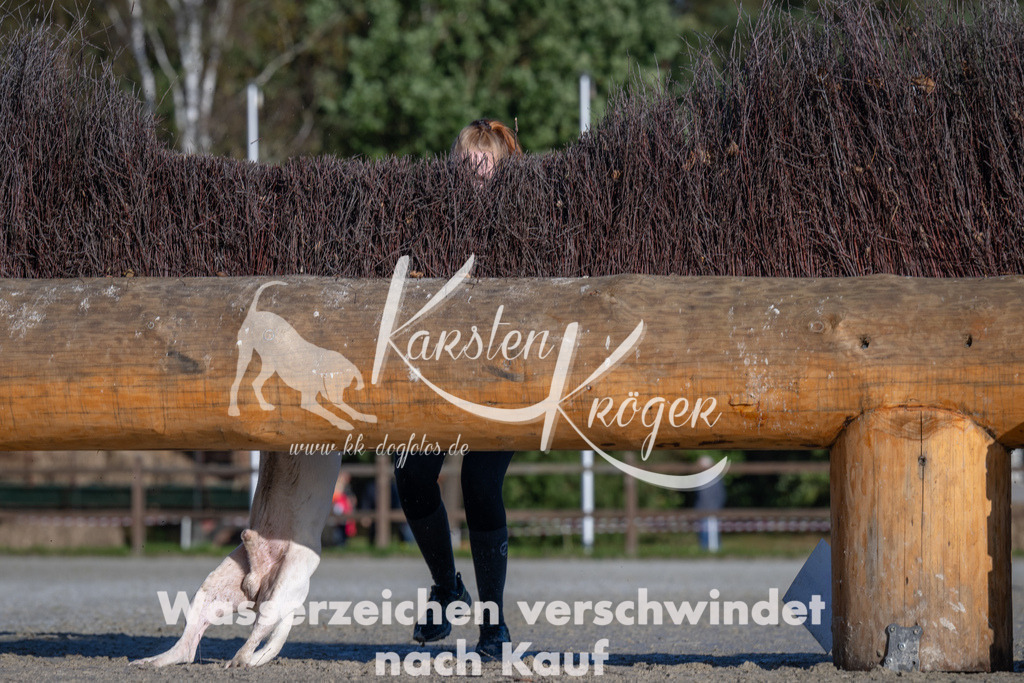 1049-_ZZ92826 | kk-dogfotos