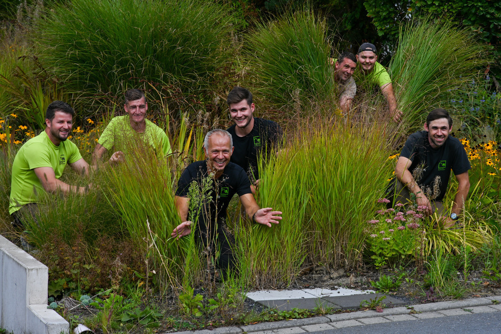 DSC_4675 | fritzmaxpaul - Realisiert mit Pictrs.com