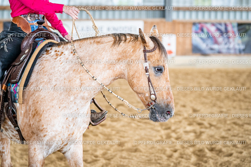 DSC07514 | Pferdegrafie