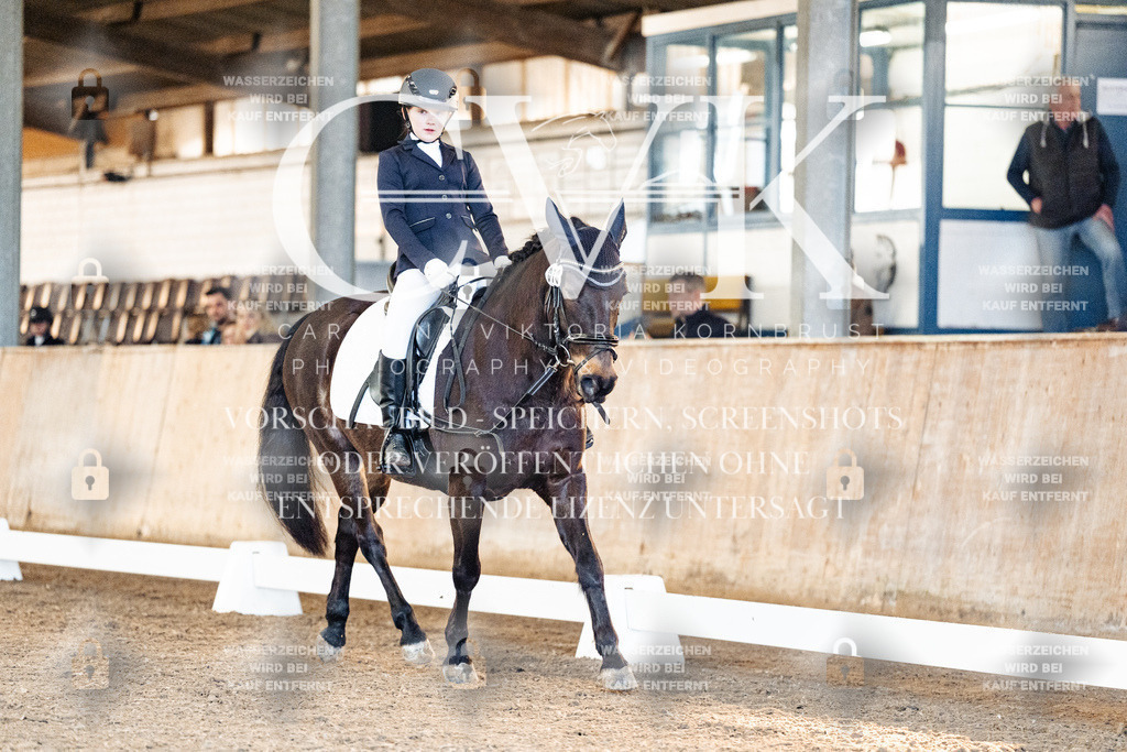 CK906717 | Turnierfotografie Pferdefotografie Trier Rheinland-Pfalz Pferdesport Reitsport Tierfotografie Sportfotografie Pferdevideo Pferdevideografie Equestrianvideography equestrianphotography  - Realisiert mit Pictrs.com