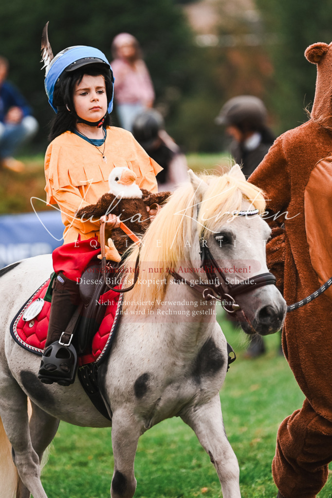 DSC_7432 | Pferde- und Turnierfotografie in Westsachsen. Pferdeportraits, Auftragszeichnungen und intuitive Kunst.