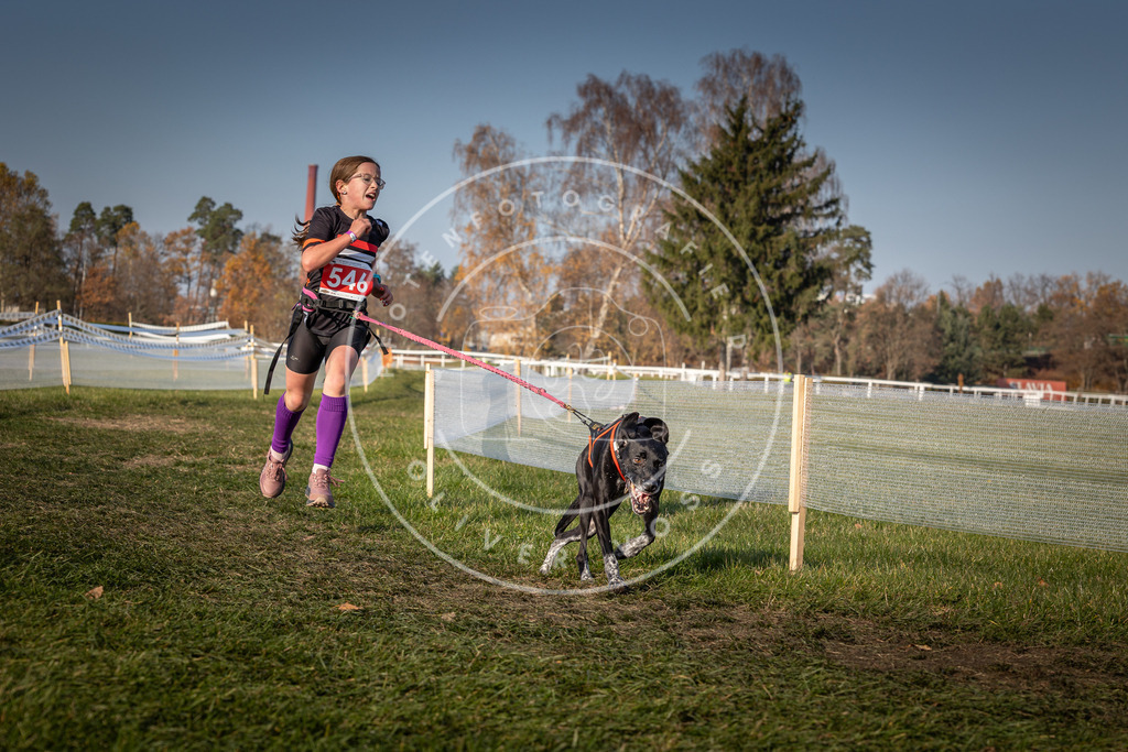 CaniXpix_0L8A9184 | Hundefotografie, Tierfotograf, Pfotenfotografie, Fotoshooting Hund, Hunde Portrait, Hundesport, Hundeportraits, Heideshooting, Hunde, Sportfotograf, Hundefotograf, Turnierhundsport, THS,  - Realisiert mit Pictrs.com