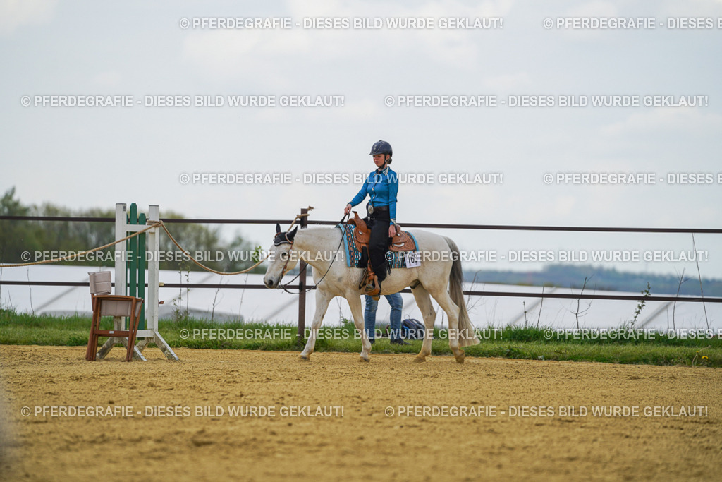 DSC06388 | Pferdegrafie