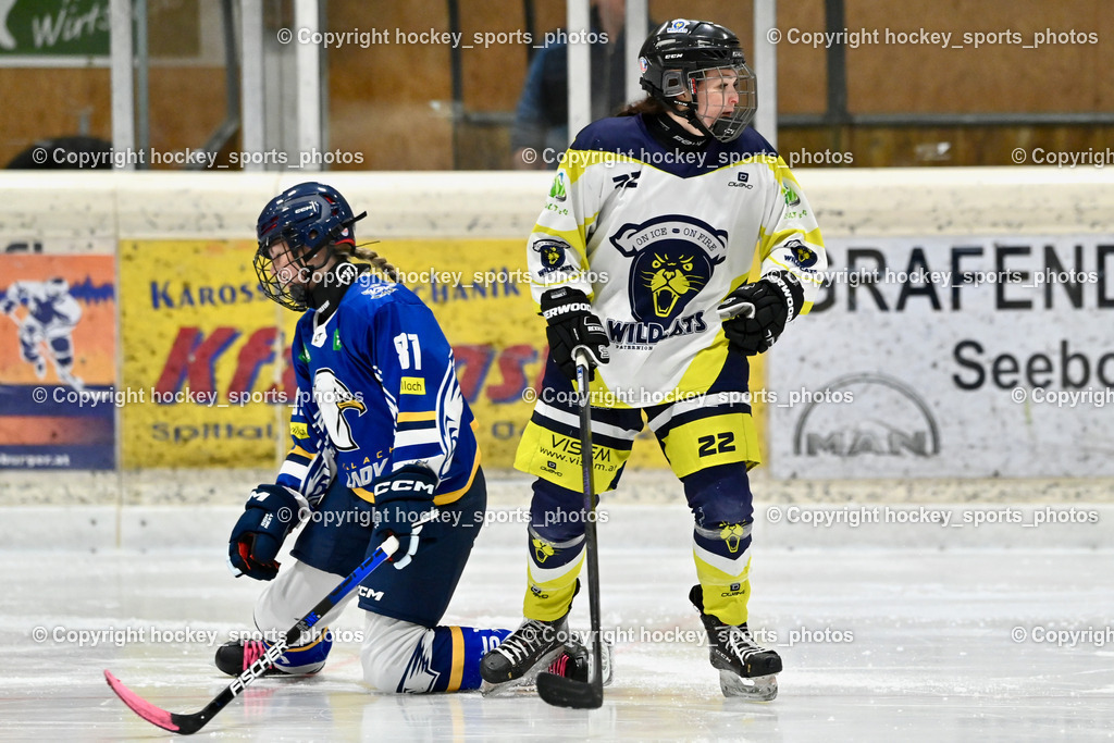 Wildcats Paternion vs. Lady Hawks  | #81 Zussner Julia LADY HAWKS, #22 Oberrauner Franziska WILDCATS PATERNION, Wildcats Paternion vs. Lady Hawks , Wildcats Paternion vs. Lady Hawks  am 27.01.2025 in Spittal an der Drau (Eissportzentrum Spittal), Austria, (Photo by Bernd Stefan)