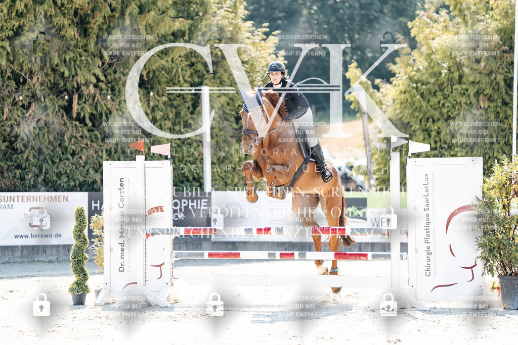 CK908405 | Turnierfotografie Pferdefotografie Trier Rheinland-Pfalz Pferdesport Reitsport Tierfotografie Sportfotografie Pferdevideo Pferdevideografie Equestrianvideography equestrianphotography  - Realisiert mit Pictrs.com