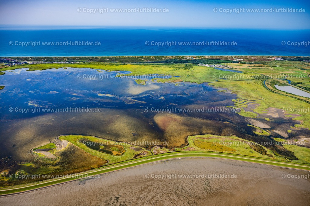 Sylt_Rantum_Rantumbecken_Salzwiesen_ELS_9576130825 | SYLT 13.08.2025 Grasflächen- Strukturen einer Feld- und Wiesen- Landschaft " Rantumbecken " in Sylt Nordsee - Insel im Bundesland Schleswig-Holstein, Deutschland. // Grass area structures of a salt marsh landscape " Rantumbecken " in Sylt North Sea Island in the state Schleswig-Holstein, Germany. Foto: Martin Elsen