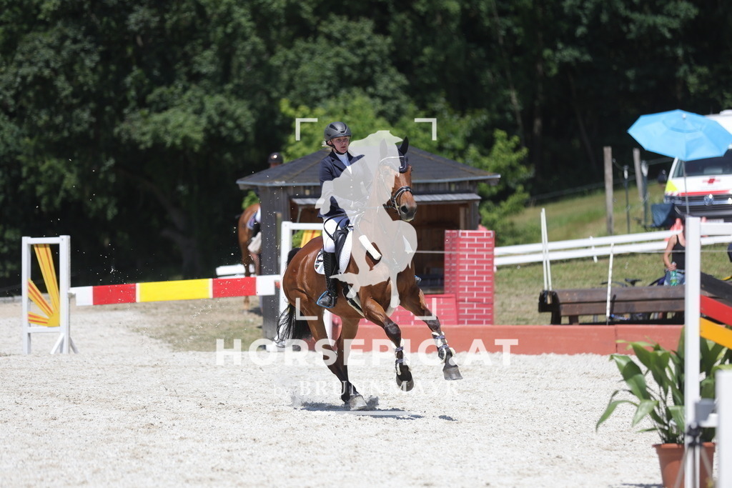 0P6A9258 | Willkommen bei Brunnmayr - Design & Fotografie – Ihrem Spezialisten für Reitturniere und Pferdeveranstaltungen in Oberösterreich, Salzburg und Bayern! Seit über 17 Jahren sind wir leidenschaftlich dabei.
