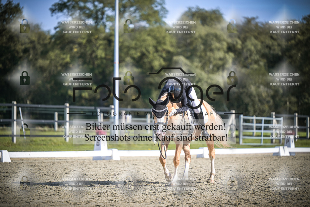 DOS_2288 | Entdecke hochwertige Reitturnierfotos von Foto Oger. Professionell, emotional und authentisch – jetzt Lieblingsmomente im Shop bestellen.Deutschlandweite Turnierfotografie. - Realisiert mit Pictrs.com