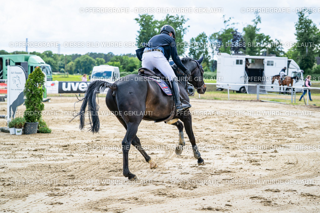 DSC05702 | Pferdegrafie