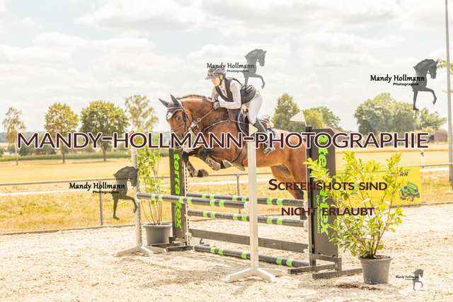 26-7-23 SPR A++-471 | mandyhollmannphotographie