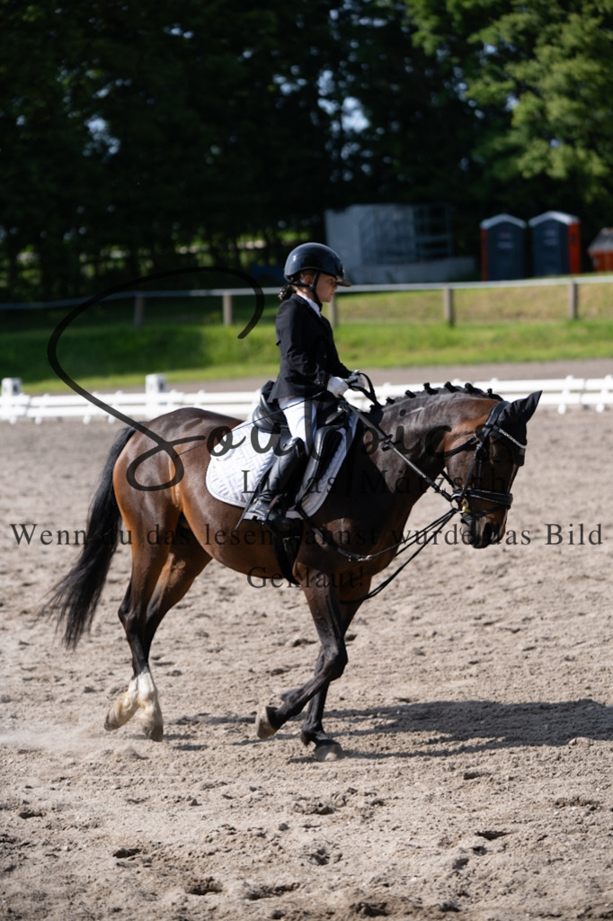 A7V02482 | Pferdefotograf