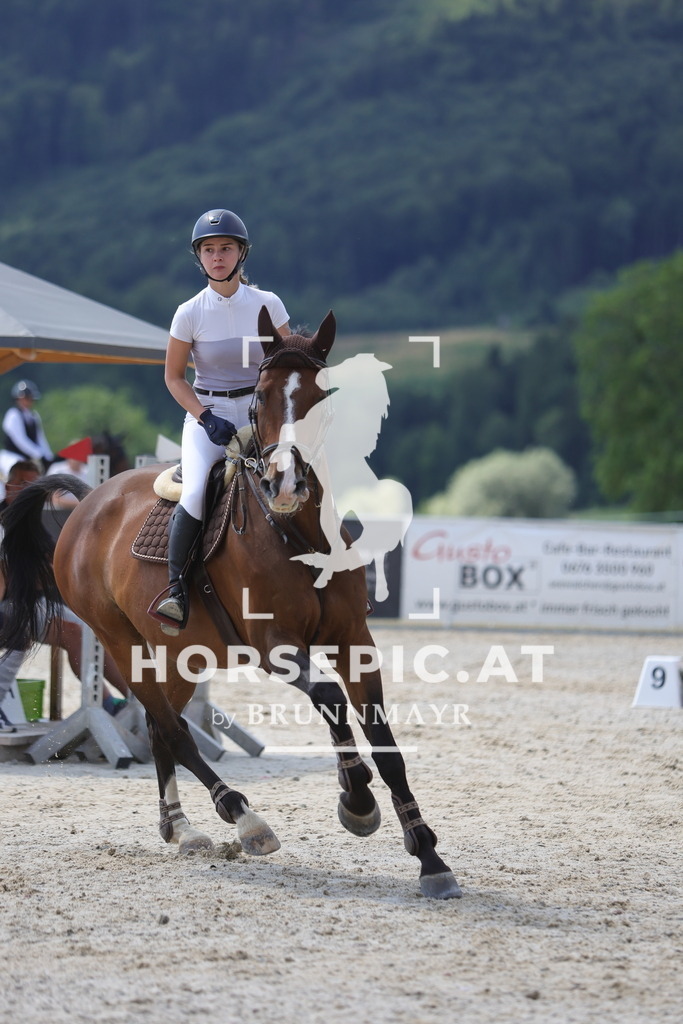 0P6A0180 | Willkommen bei Brunnmayr - Design & Fotografie – Ihrem Spezialisten für Reitturniere und Pferdeveranstaltungen in Oberösterreich, Salzburg und Bayern! Seit über 17 Jahren sind wir leidenschaftlich dabei.