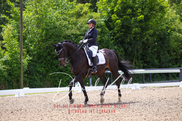 DKP41021 | Turnierfotos kaufen im Webshop von Daniel Kuhl Photography – entdecke professionelle Reitsportfotos aus Turnieren & Events. Hochwertige Turnierbilder online bestellen & sichern. Jetzt Fotos von Reitsportturnieren kaufen!