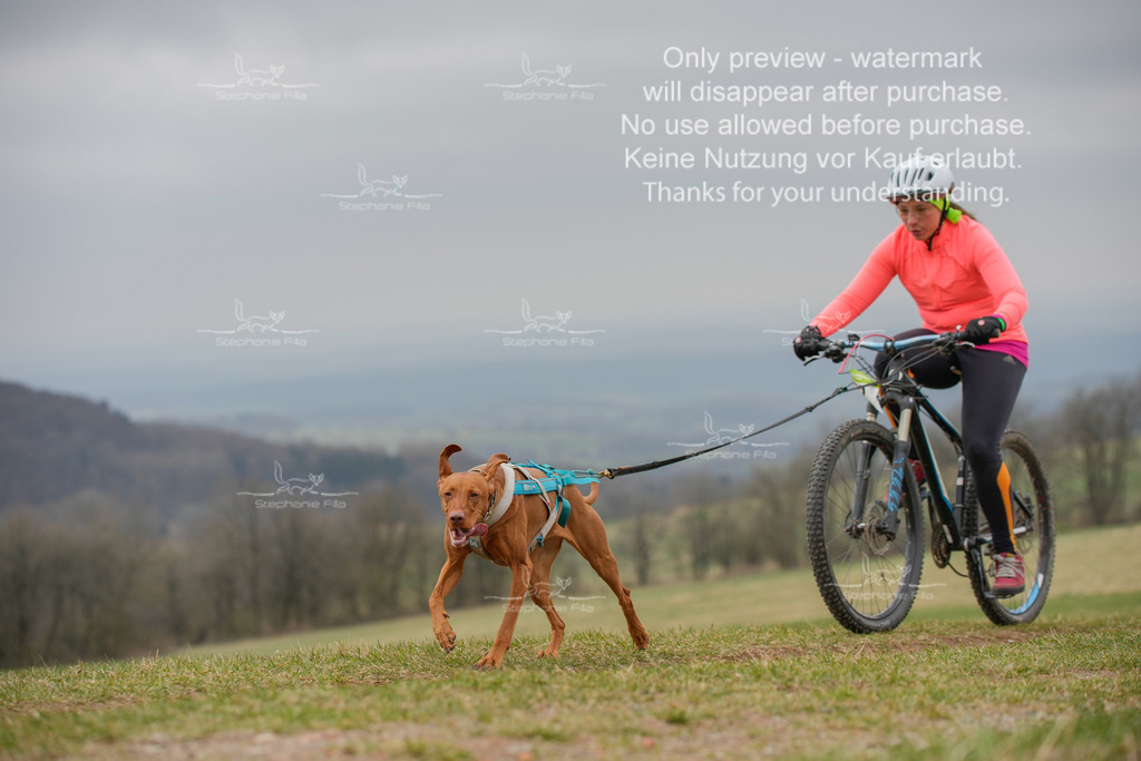 BikeSA-395 | stephaniefillaphotographie - Realisiert mit Pictrs.com