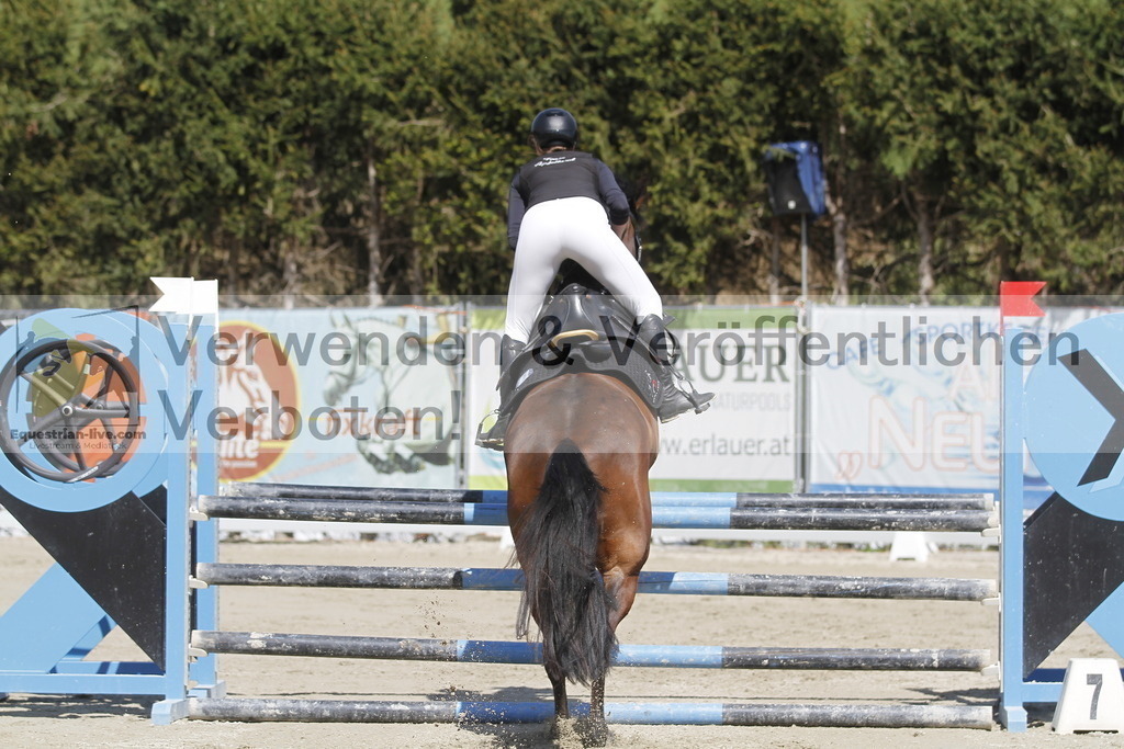 _MG_6807 | equestrian-live-com