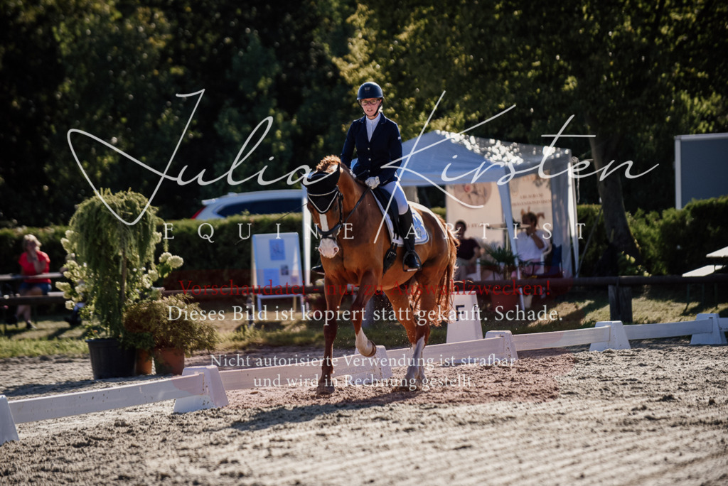 DSC_0479 | Pferde- und Turnierfotografie in Westsachsen. Pferdeportraits, Auftragszeichnungen und intuitive Kunst.