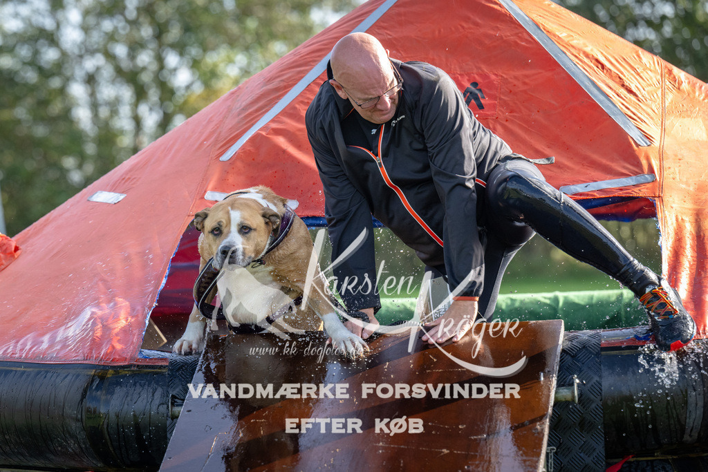 1151-92333 | kk-dogfotos
