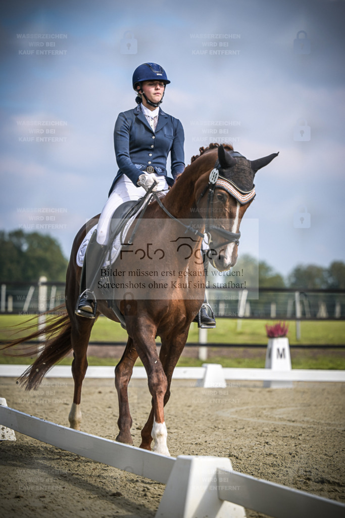 DOS_B639 | Entdecke hochwertige Reitturnierfotos von Foto Oger. Professionell, emotional und authentisch – jetzt Lieblingsmomente im Shop bestellen. - Realisiert mit Pictrs.com