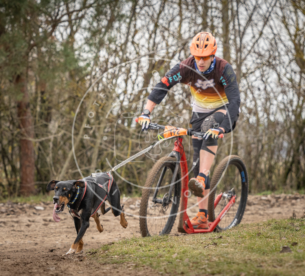 Pfotenfotografie_DV3A9988 | Hundefotografie, Tierfotograf, Pfotenfotografie, Fotoshooting Hund, Hunde Portrait, Hundesport, Hundeportraits, Heideshooting, Hunde, Sportfotograf, Hundefotograf, Turnierhundsport, THS,  - Realisiert mit Pictrs.com