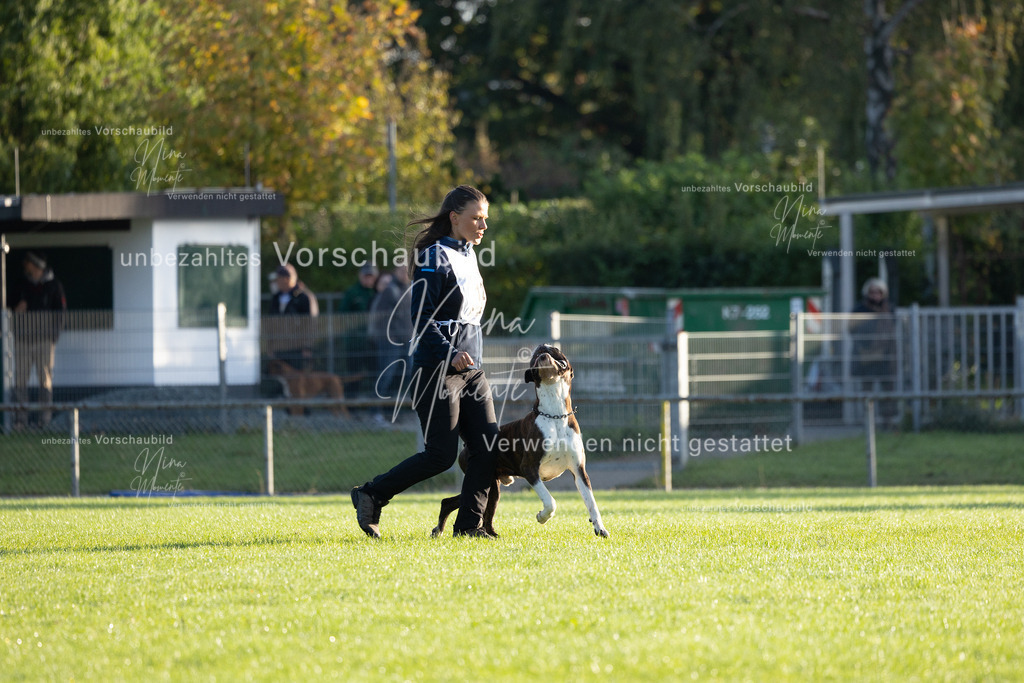 _16A6076 | Einzigartige Fotos von Hunden & Menschen –Actionfotos, Portraits, Vereinsaufnahmen & Paarshootings – authentisch, lebendig & mit Herz.