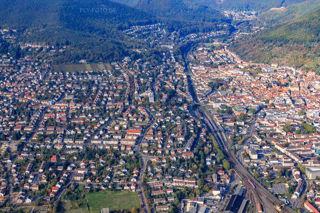 Luftbild: Ortsansicht von Osten in Neustadt an der Weinstraße im Bundesland Rheinland-Pfalz in Deutschland. Foto: IMG_22076.jpg vom 15.10.2009 durch Werner Riehm/FLY-FOTO.de