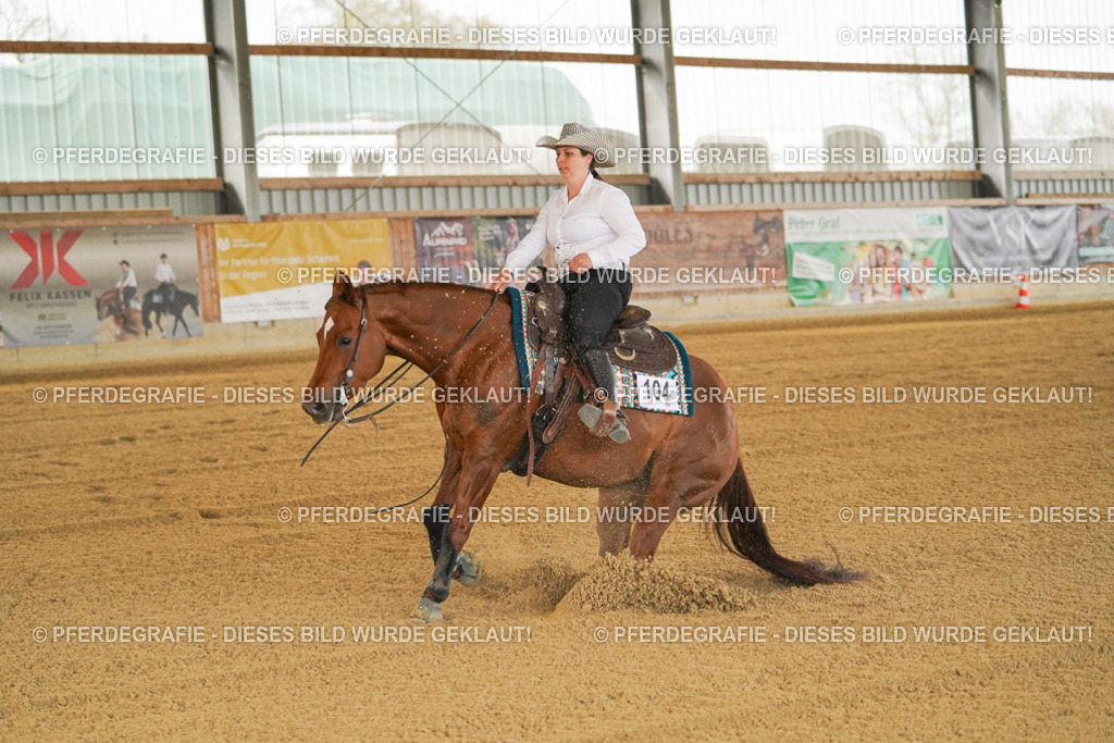 DSC07911 | Pferdegrafie