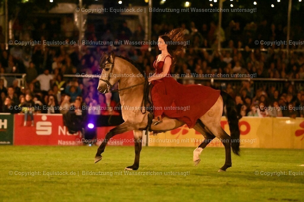20230526_Pferdenacht_1400 | equistock