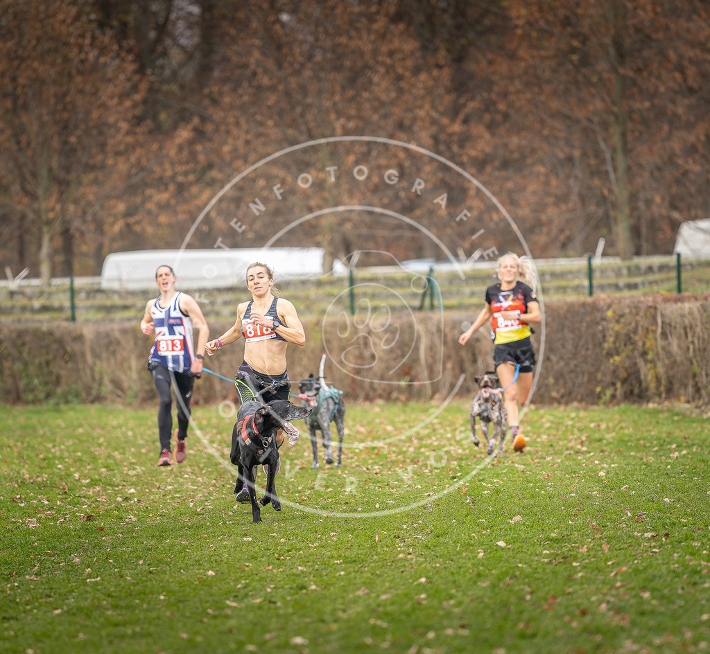 CaniXpix_DV3A6201 | Hundefotografie, Tierfotograf, Pfotenfotografie, Fotoshooting Hund, Hunde Portrait, Hundesport, Hundeportraits, Heideshooting, Hunde, Sportfotograf, Hundefotograf, Turnierhundsport, THS,  - Realisiert mit Pictrs.com