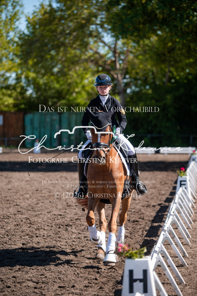 DSC_0540 | Christina-Kleuver
