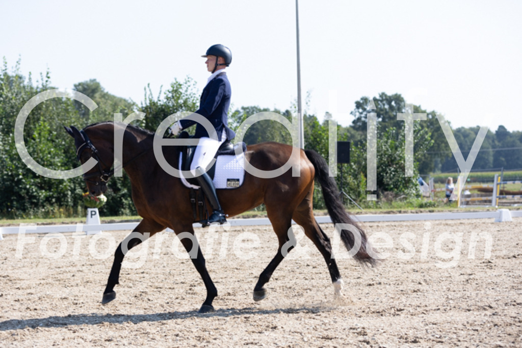 IMG_3778 | Creatify Fotografie