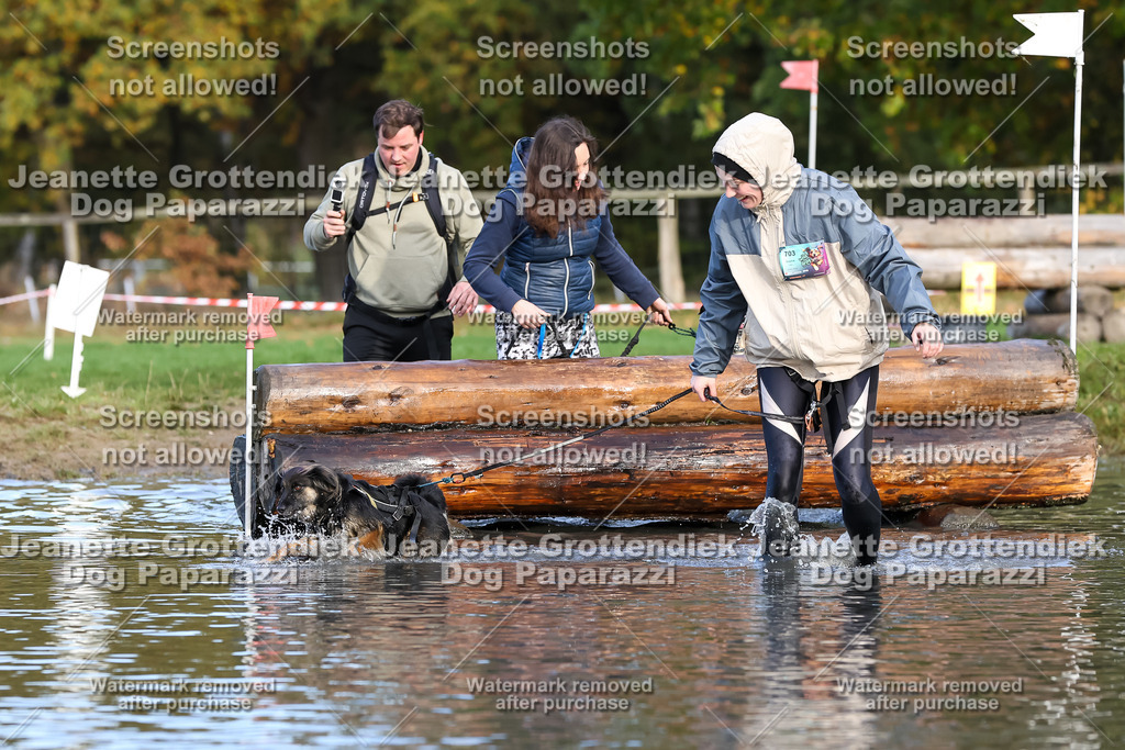 Dog Paparazzi - Strongdog 10-25-8318 | Dog Paparazzi Jeanette Grottendiek Fotografie & Videografie - Realisiert mit Pictrs.com