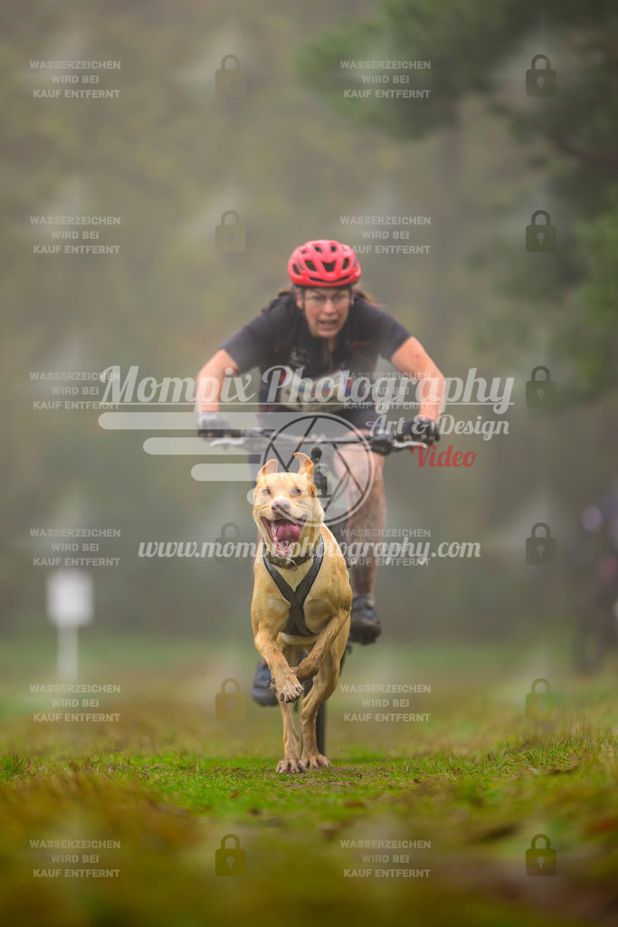 MompixPhotography_Bischwiller2025_Bike-26 | mompixphotography