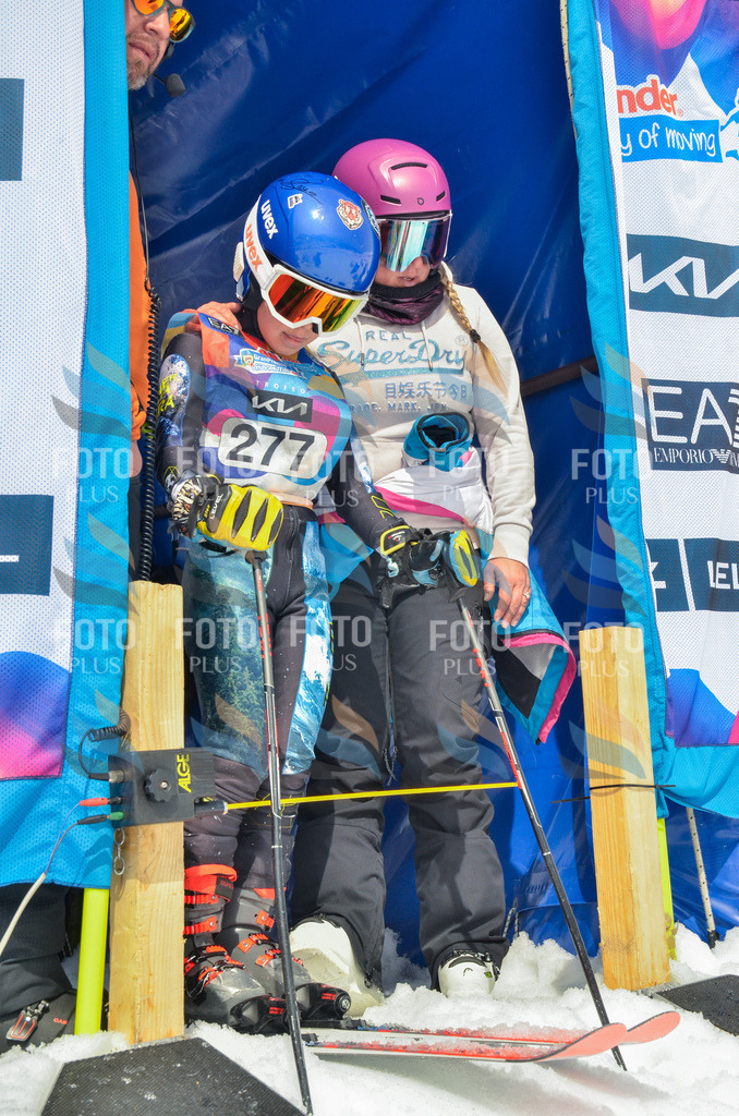 _ELE7887 | holidayphoto