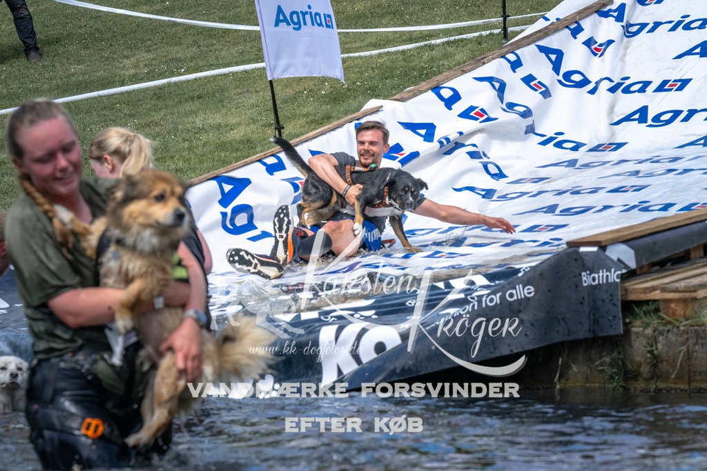 1103_ZZ90591 | kk-dogfotos