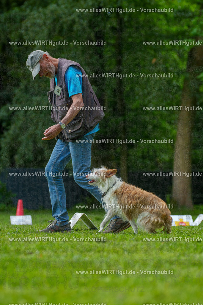 @allesWIRTHgut_Tierfotografie - www.allesWIRTHgut.de - 7R505515 | Professionelle Tierfotografie in Mönchengladbach von Daniel Wirth (allesWIRTHgut). Liebevolle & natürliche Bilder von Hunden & Katzen für unvergessliche Erinnerungen.