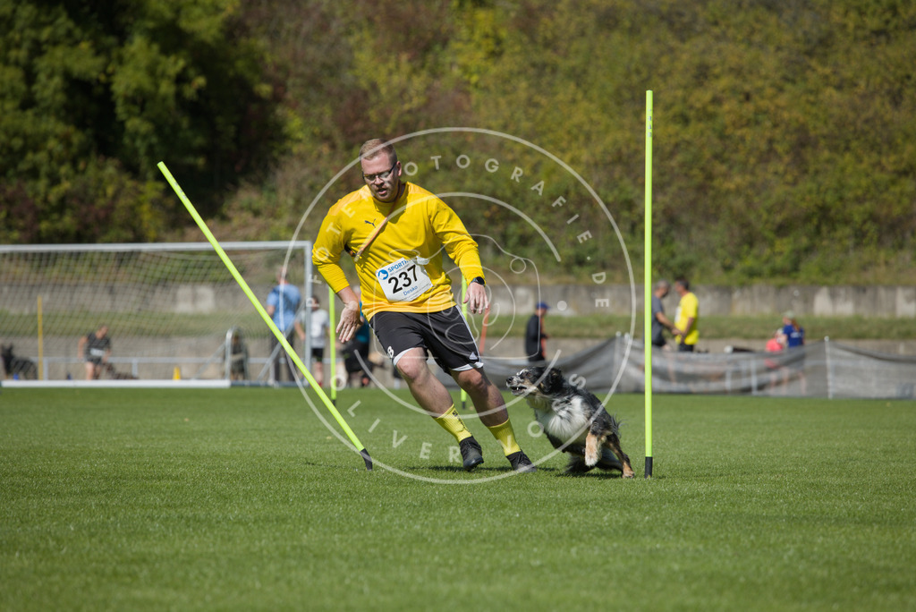 0L8A6108 | Hundefotografie, Tierfotograf, Pfotenfotografie, Fotoshooting Hund, Hunde Portrait, Hundesport, Hundeportraits, Heideshooting, Hunde, Sportfotograf, Hundefotograf, Turnierhundsport, THS,  - Realisiert mit Pictrs.com