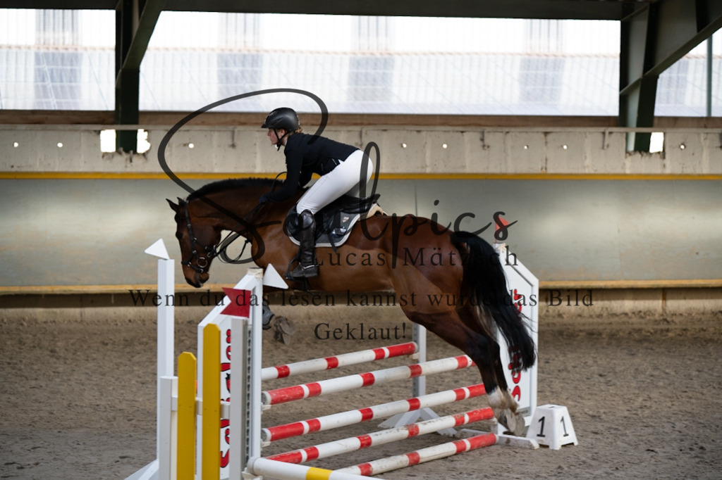 A7V01775 | Pferdefotograf