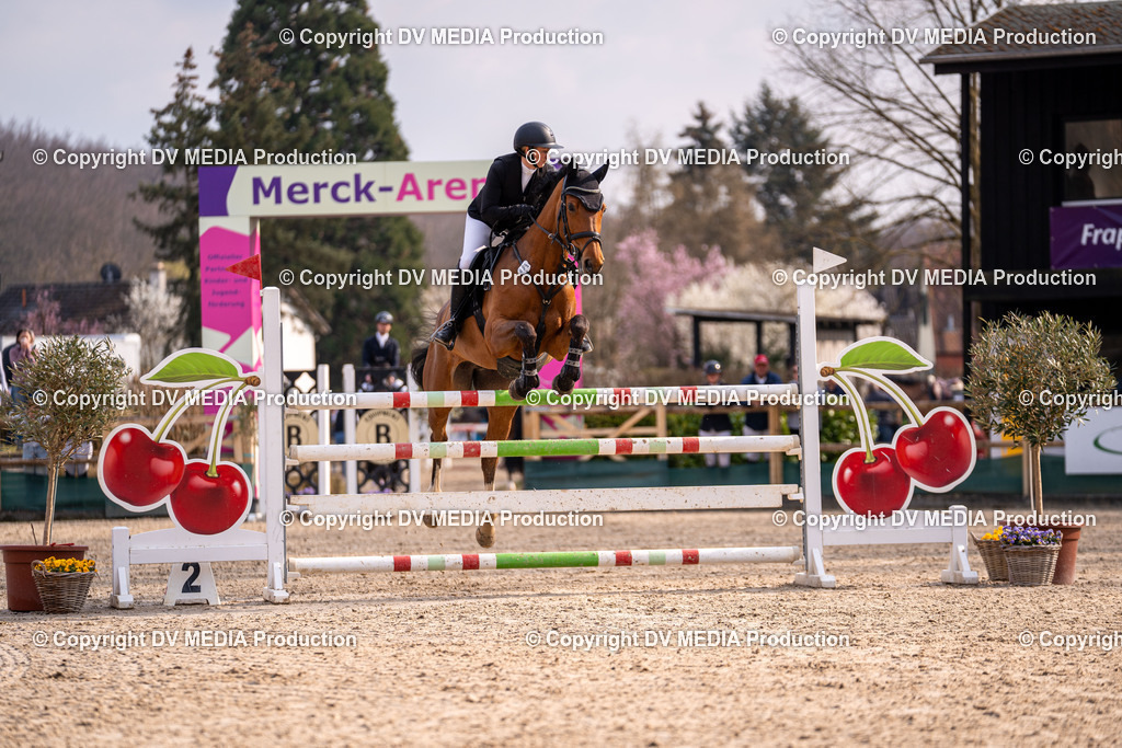 Kranichstein Tag 2-2222 | dv-media-shop - Realisiert mit Pictrs.com