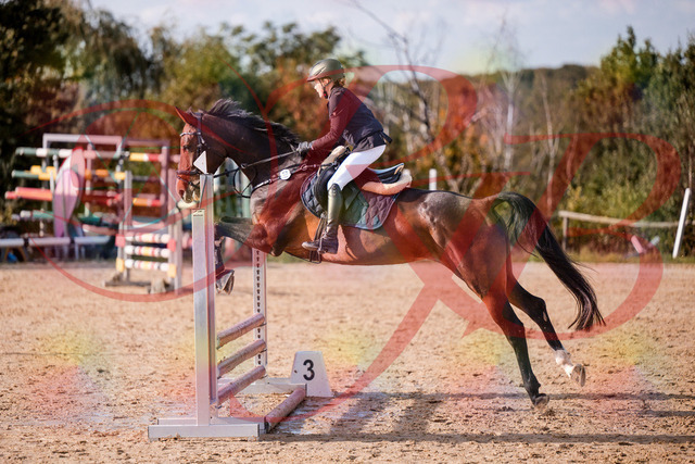 2026_10_03_Siefer-Hof_155937_Z81_79782044 | Professionelle Reitsport-, Turnier- und Eventfotografie von Robert Broda. Galerien mit ausgewählten und bearbeiteten Bildern direkt online ansehen und bestellen.