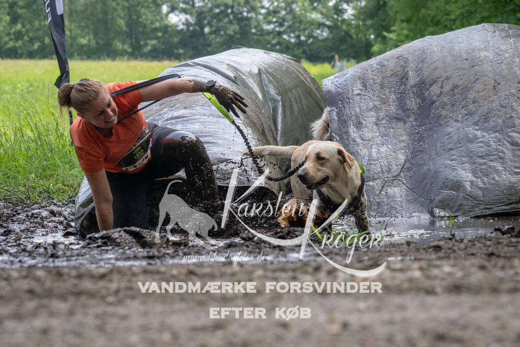 1143_ZZ94140 | kk-dogfotos