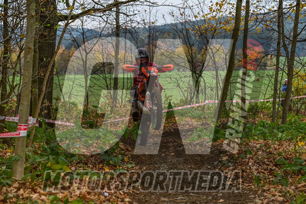 NZ8_7811 | grenznic640