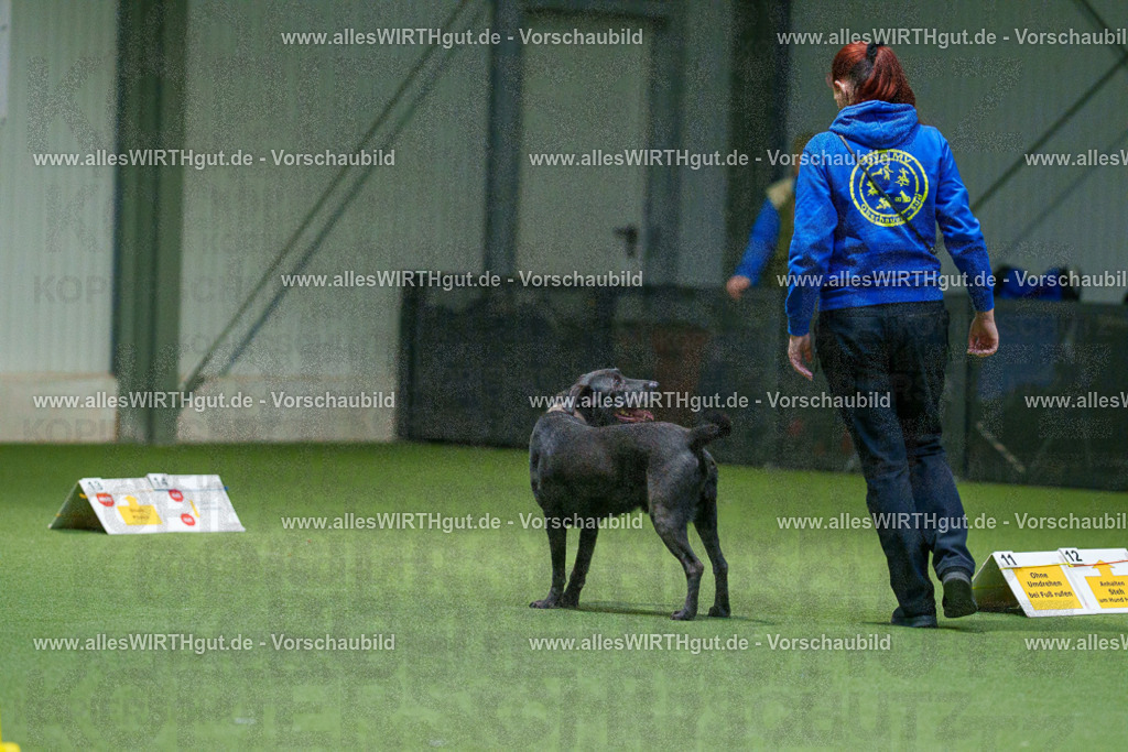 7R507018 | Professionelle Tierfotografie in Mönchengladbach von Daniel Wirth (allesWIRTHgut). Liebevolle & natürliche Bilder von Hunden & Katzen für unvergessliche Erinnerungen.