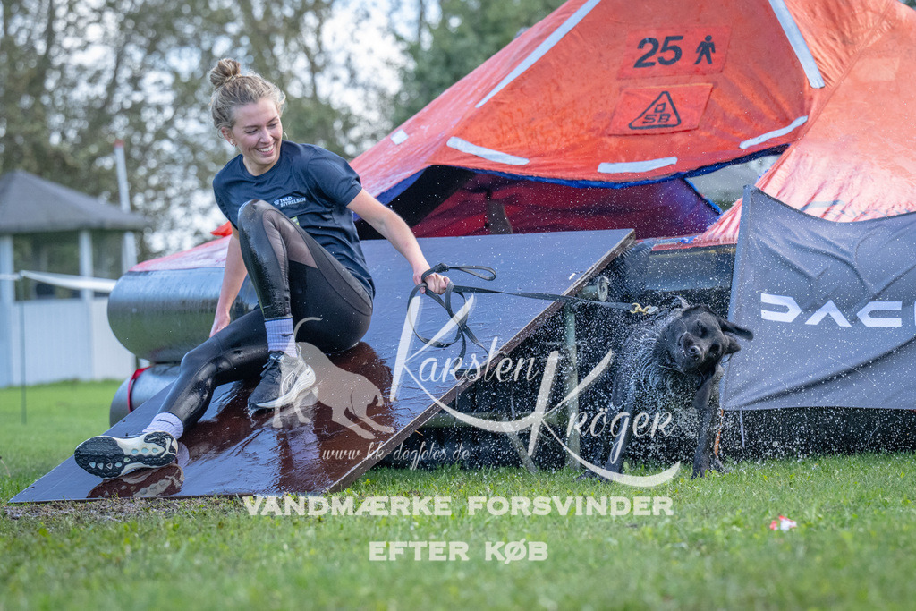 1258-90365 | kk-dogfotos