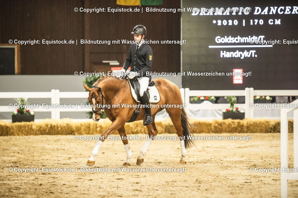 20240302_Hengstvorstellung_Marbach_TOMsPiC_0357 | equistock
