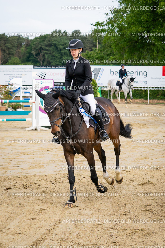 DSC03215 | Pferdegrafie