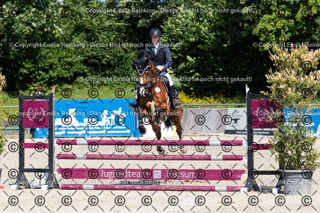 CL5A0266 | Emilia Reinking Fotografie - Realisiert mit Pictrs.com